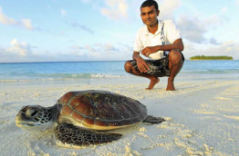Maldives - Banyan Tree Vabbinfaru - Programme de protection des tortues