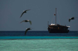 Maldives - Croisières Dhoni Stella 2