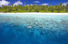 Maldives - Filitheyo Island Resort - Le récif corallien