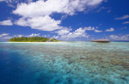 Maldives - Filitheyo Island Resort - Le récif corallien