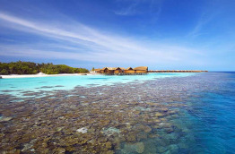 Maldives - Lily Beach Resort & Spa