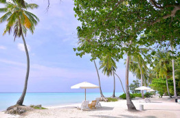 Maldives - Reverie Diving Village - Plage devant l'hôtel