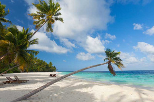 Maldives - Filitheyo Island Resort - Plage