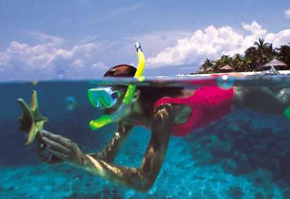 Snorkeling - Maldives