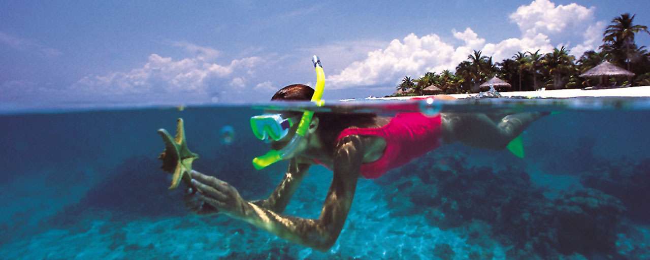 Quel masque avec tuba choisir pour le snorkeling ? - Le Parisien
