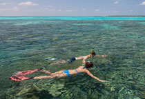 Snorkeling aux Maldives