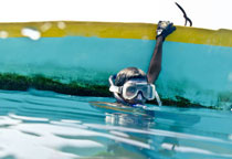 snorkeling aux maldives © Ja Manafaru