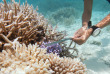 Maldives - Coco Bodu Hithi