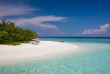 Maldives - Coco Bodu Hithi - Plage