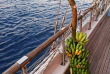 Maldives - Croisière Pearl 111