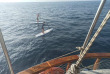 Maldives - Croisière Pearl 111