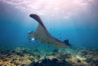 Maldives - TGI Diving Helengeli © Markus Schubert