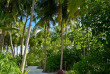 Maldives - Kandima Maldives - Végétation intérieure de l'île