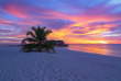 Maldives - Mirihi Island Resort