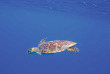 Maldives - OBLU Nature Helengeli by Sentido - Snorkeling