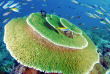 Maldives - Coco Dive Bodu Hithi