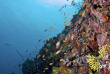 Maldives - Coco Dive Bodu Hithi