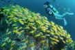 Maldives - Euro-Divers