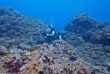 Maldives - Prodivers Kuredu