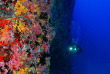 Maldives - Centre de plongée Werner Lau © U Kefrig