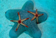 Maldives - Centre de plongée Werner Lau © U Kefrig