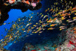 Maldives - Centre de plongée Werner Lau © U Kefrig