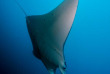 Maldives - Centre de plongée Werner Lau © U Kefrig
