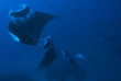Maldives - Centre de plongée Werner Lau © U Kefrig