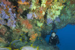 Maldives - Centre de plongée Sea Explorer - Reethi Faru © Franck Schneider