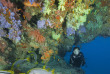 Maldives - Centre de plongée Sea Explorer - Reethi Faru © Franck Schneider