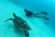 Forfait de Snorkeling avec Sea Explorer à Reethi Faru © Sea Explorer
