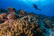 Maldives - Vakkaru Island