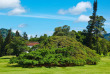 Sri Lanka - Jardins de Peradeniya © Shutterstock, F9Photos