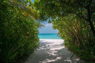 Maldives - Coco Palm Dhuni Kolhu