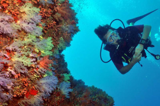 Maldives - Euro Divers - La plongée