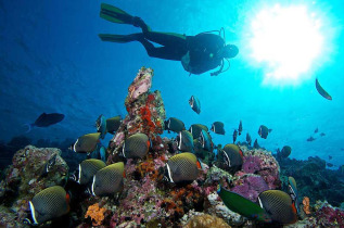 Maldives - Prodivers Lily Beach
