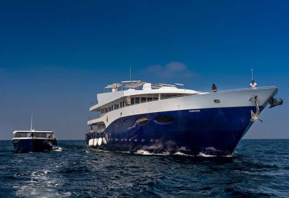 Maldives - Croisière Scubaspa - Scubaspa Yin