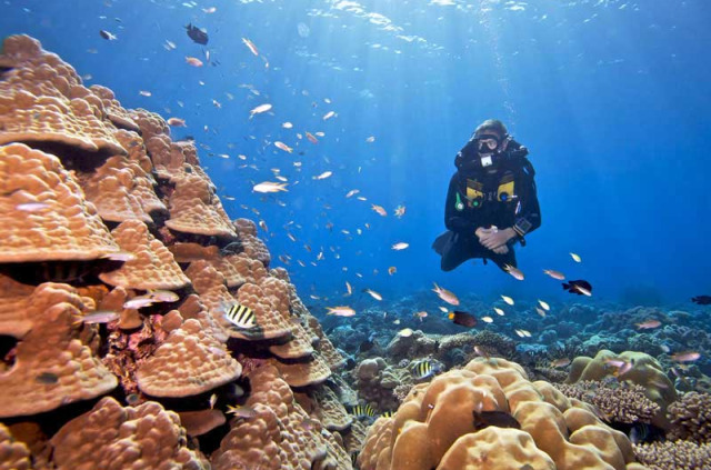 Maldives - Prodivers Kuredu